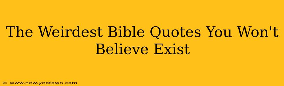 The Weirdest Bible Quotes You Won't Believe Exist