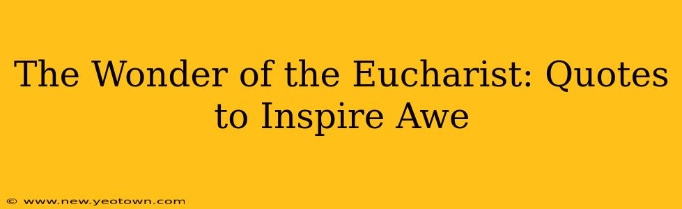 The Wonder of the Eucharist: Quotes to Inspire Awe
