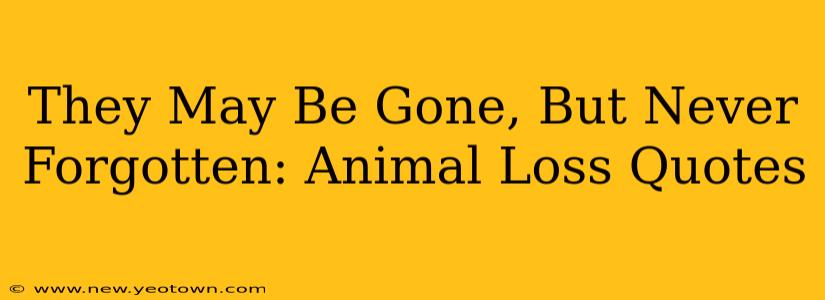 They May Be Gone, But Never Forgotten: Animal Loss Quotes