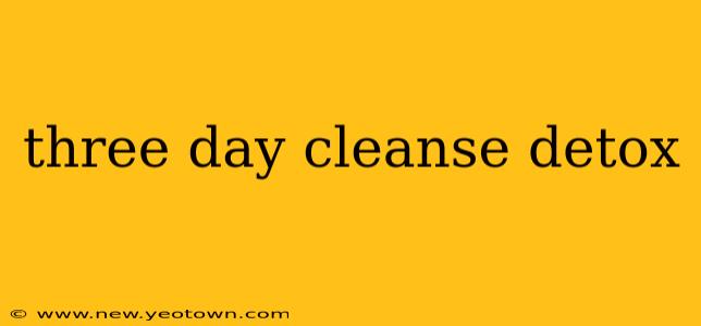 three day cleanse detox