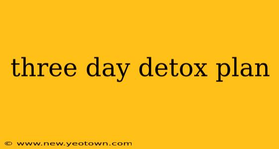 three day detox plan