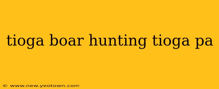 tioga boar hunting tioga pa