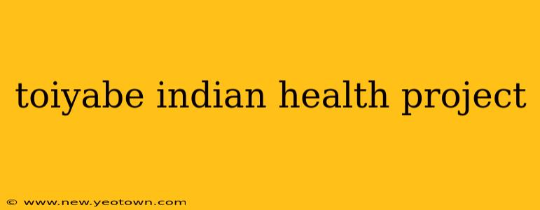 toiyabe indian health project