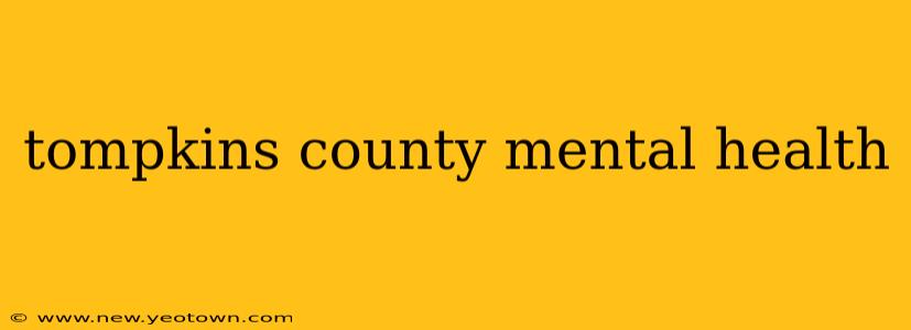 tompkins county mental health