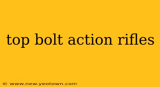 top bolt action rifles