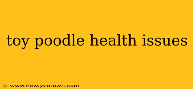 toy poodle health issues