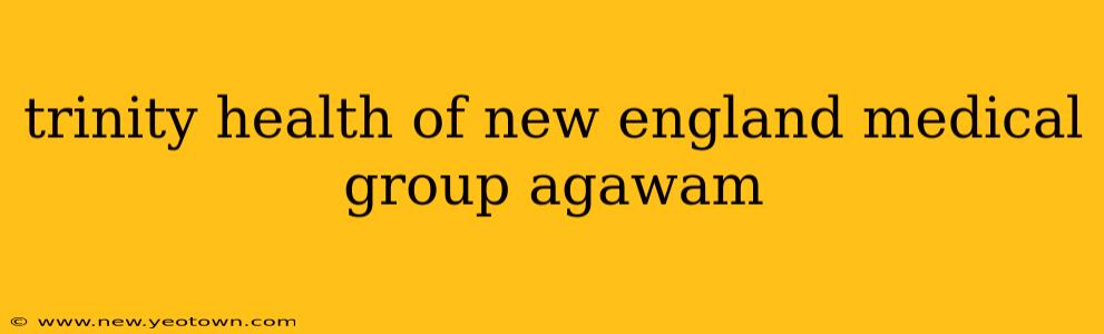 trinity health of new england medical group agawam