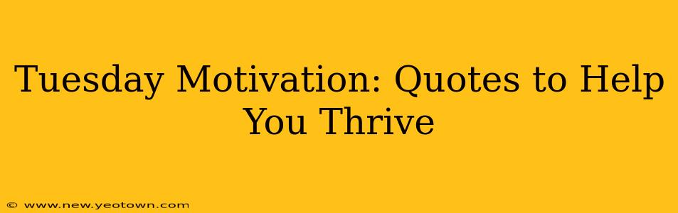 Tuesday Motivation: Quotes to Help You Thrive