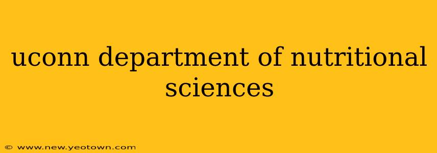 uconn department of nutritional sciences