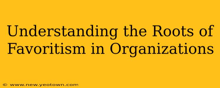 Understanding the Roots of Favoritism in Organizations