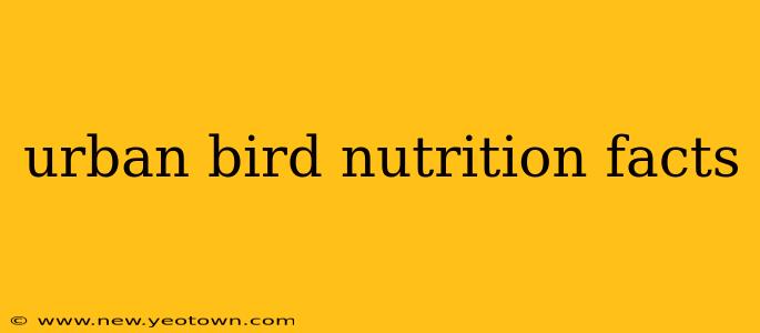 urban bird nutrition facts