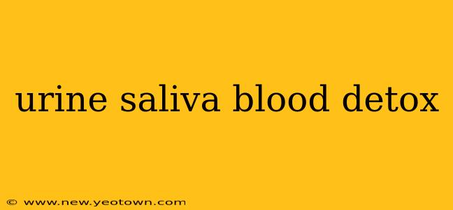 urine saliva blood detox