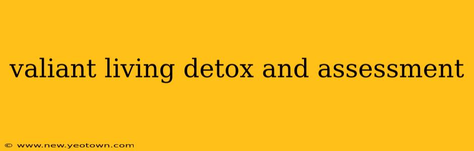 valiant living detox and assessment