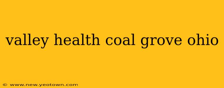 valley health coal grove ohio