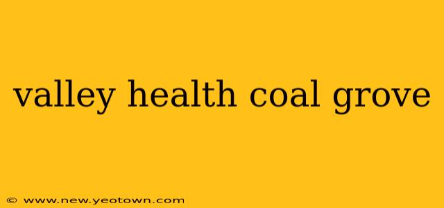 valley health coal grove
