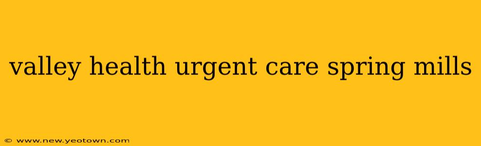 valley health urgent care spring mills