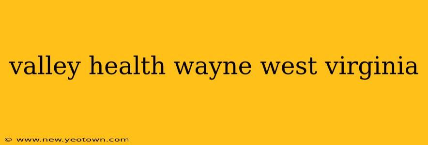 valley health wayne west virginia