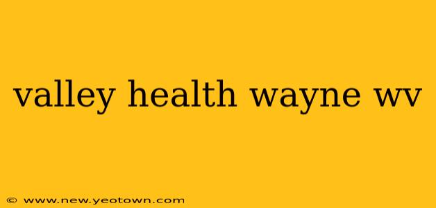 valley health wayne wv