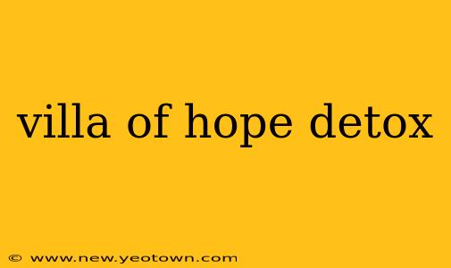 villa of hope detox
