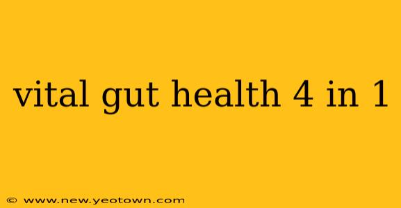 vital gut health 4 in 1