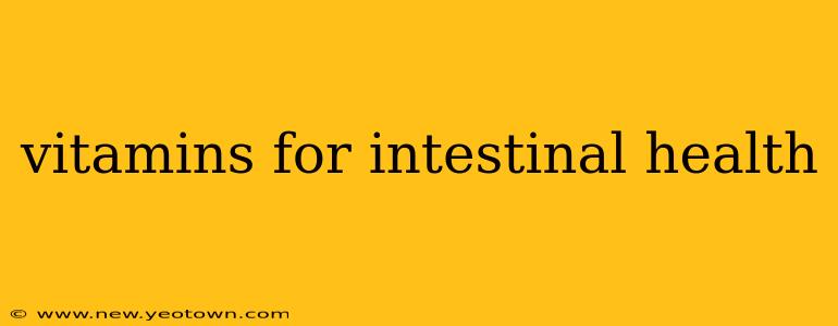 vitamins for intestinal health