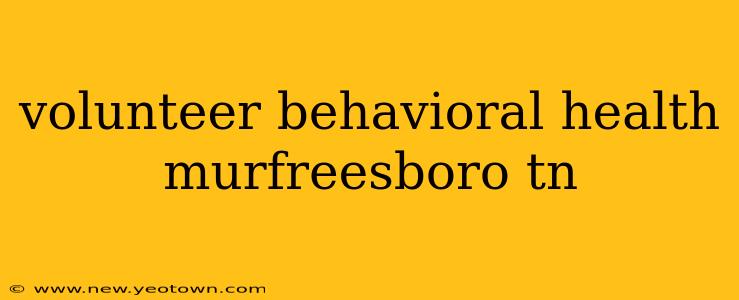 volunteer behavioral health murfreesboro tn