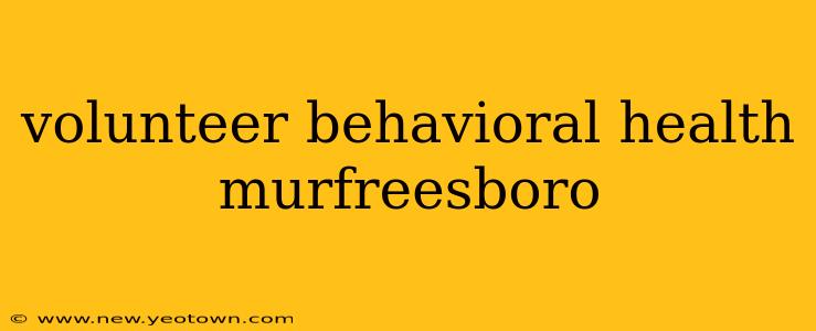 volunteer behavioral health murfreesboro