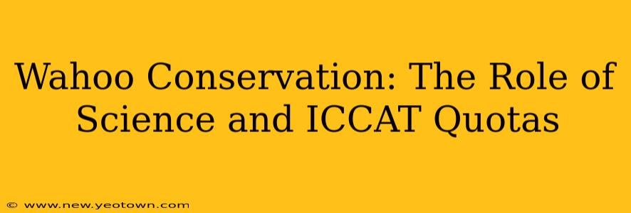 Wahoo Conservation: The Role of Science and ICCAT Quotas