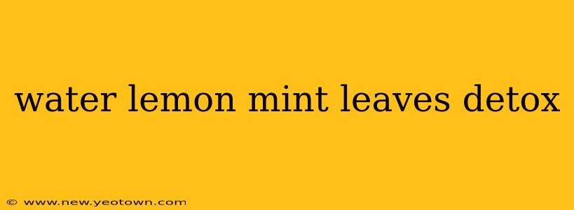 water lemon mint leaves detox