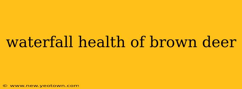 waterfall health of brown deer