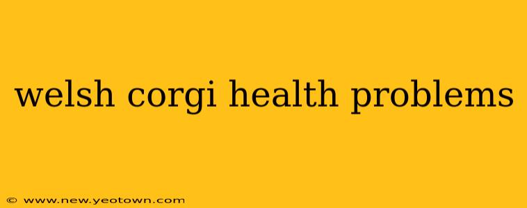 welsh corgi health problems