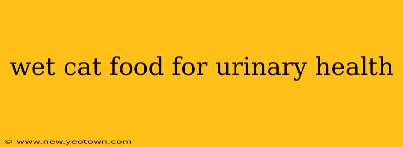wet cat food for urinary health