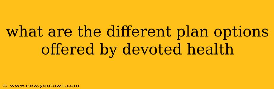 what are the different plan options offered by devoted health