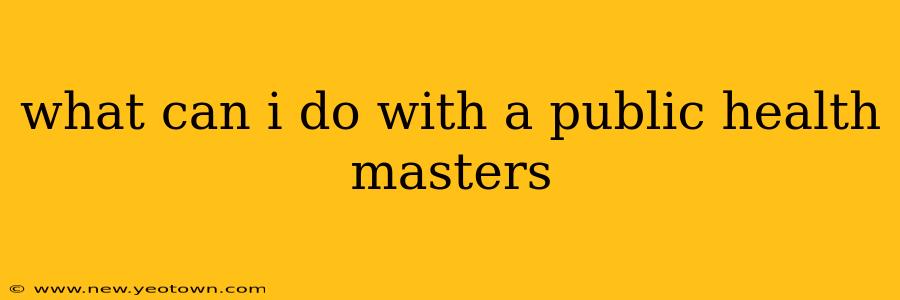 what can i do with a public health masters