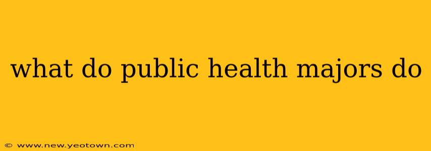 what do public health majors do