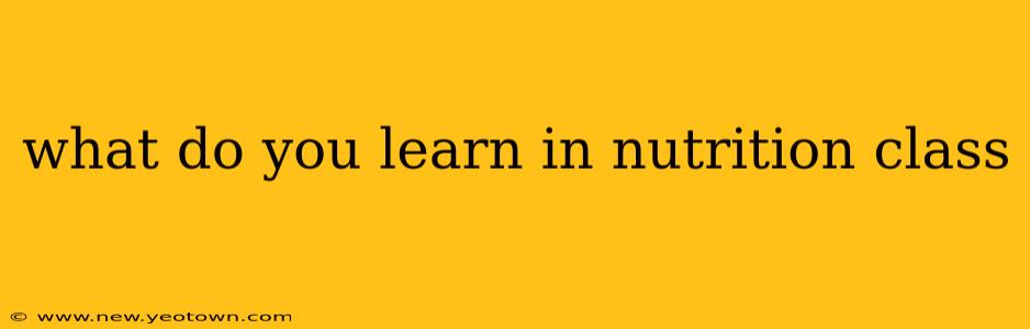 what do you learn in nutrition class