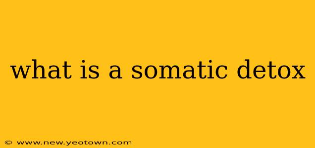 what is a somatic detox
