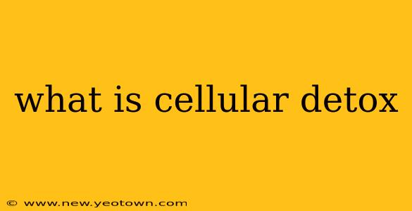 what is cellular detox