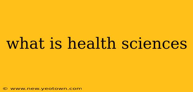 what is health sciences