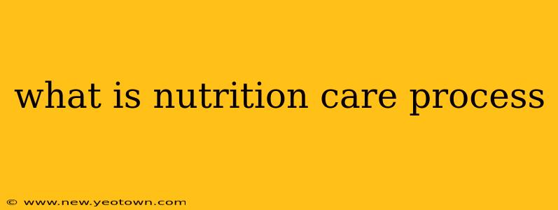 what is nutrition care process