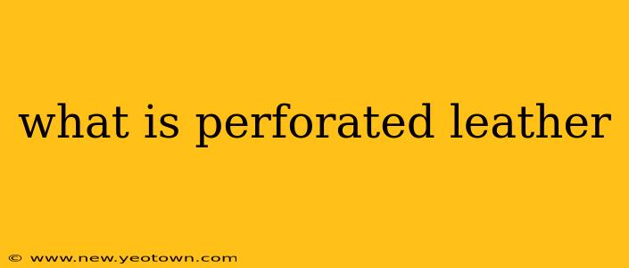 what is perforated leather