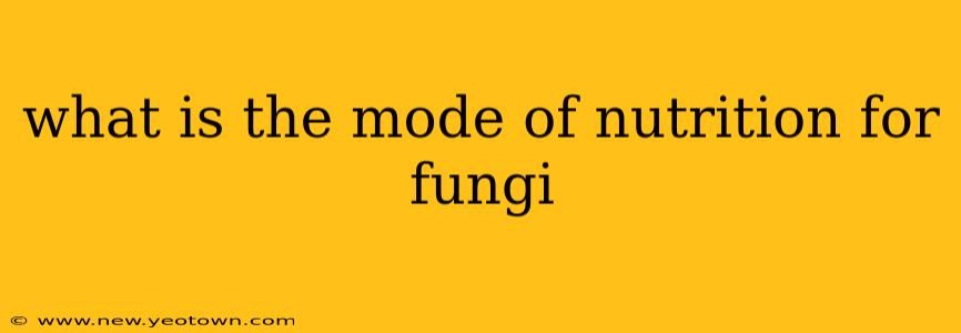 what is the mode of nutrition for fungi