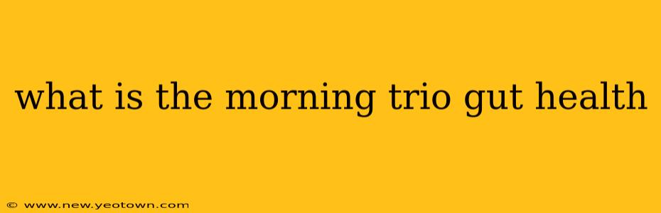 what is the morning trio gut health