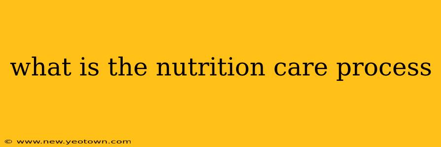 what is the nutrition care process