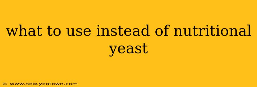 what to use instead of nutritional yeast