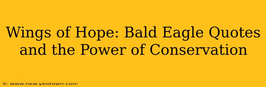Wings of Hope: Bald Eagle Quotes and the Power of Conservation