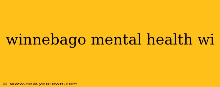 winnebago mental health wi