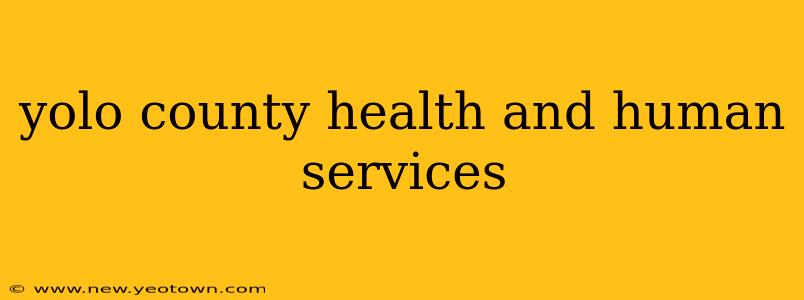 yolo county health and human services