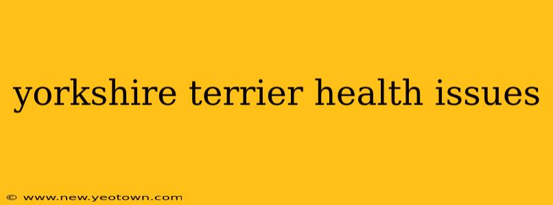 yorkshire terrier health issues